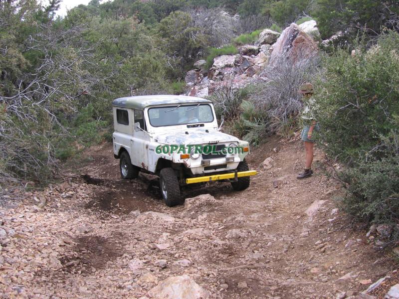 IMG 0334-1