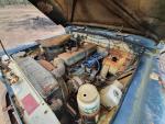 118615466 3384463934926286 1578690900407941509 n
